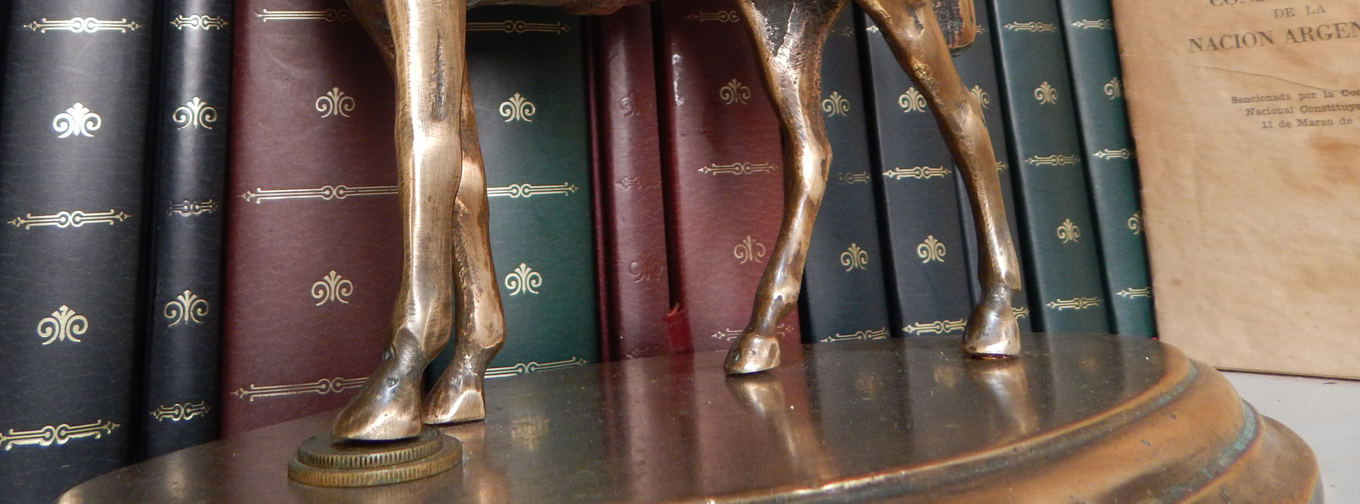 Caballo de Democracia | DemCom