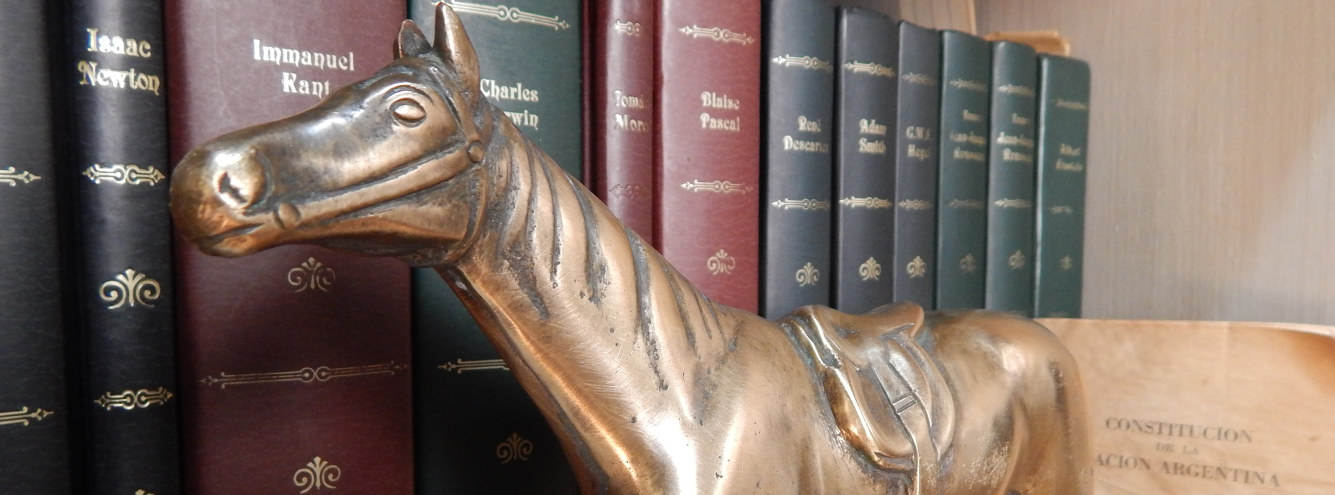 Caballo de Democracia | DemCom