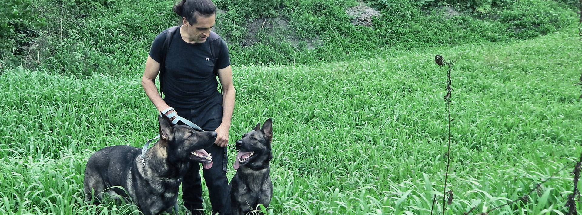 La binominalidad soberana | DemCom La binominalidad soberana | DemCom