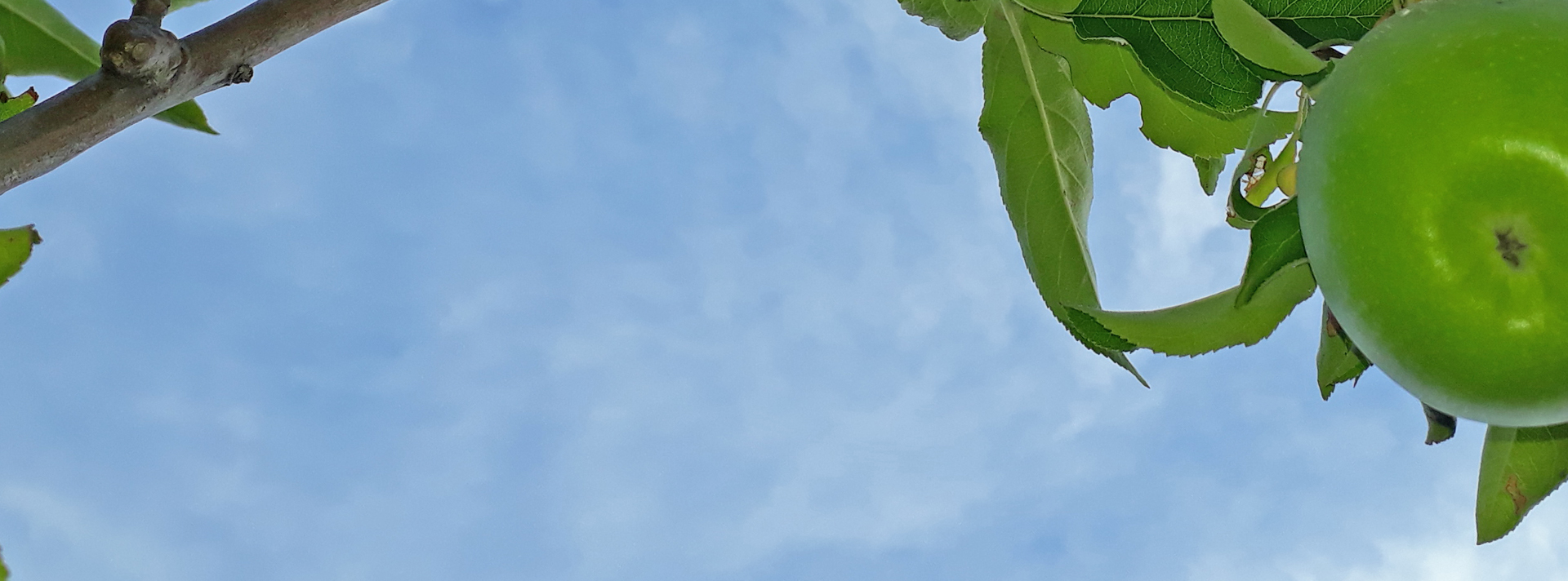 Sistema de posicionamiento universal –SPU– Sistema de Posicionamiento Universal –SPU– | DemCom