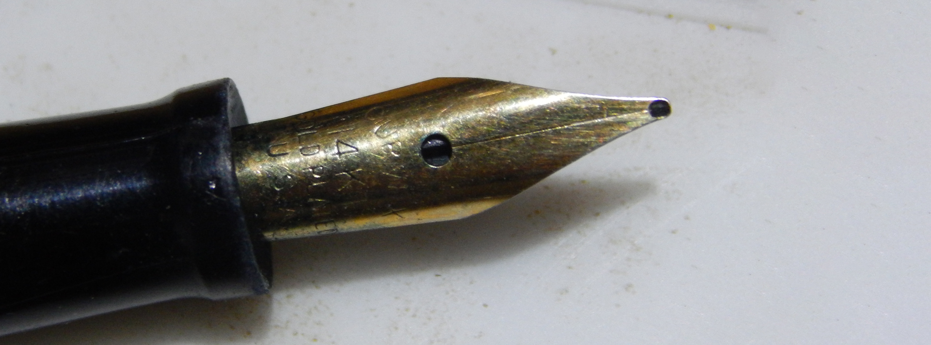 Pluma del abuelo Cándido Pinillos Saénz desaparecido en 1935 | DemCom