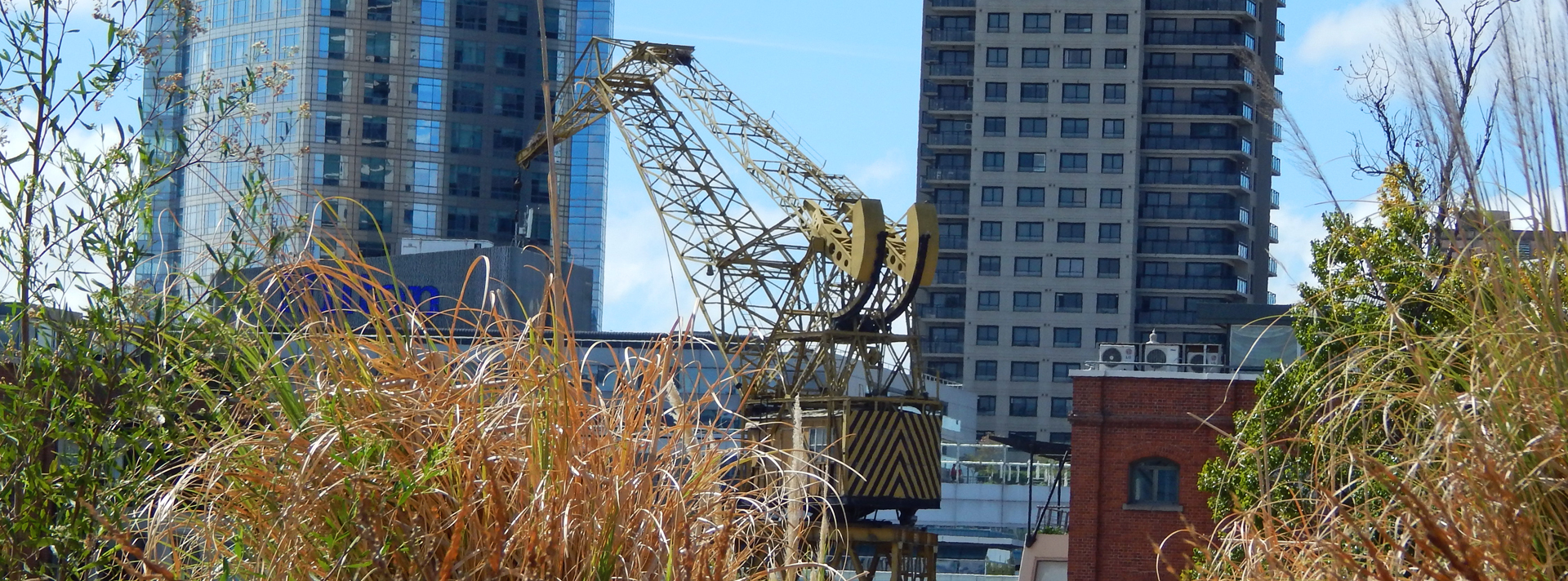 Grúa | Puerto Madero | DemCom